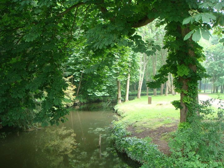 DSC06988.jpg